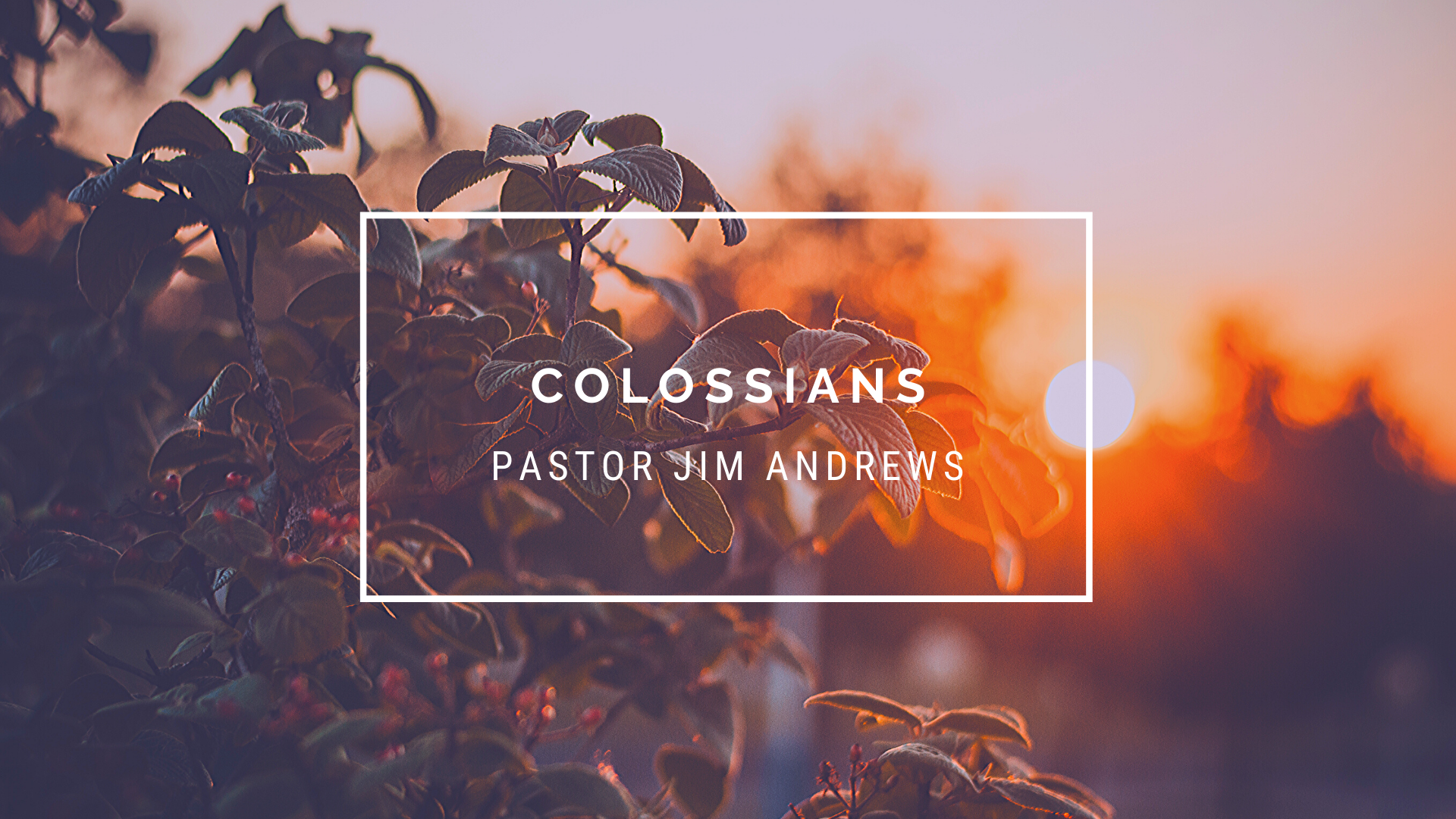 Colossians 1:7-13